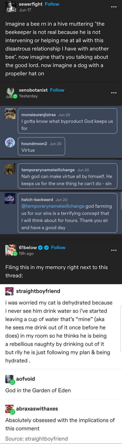 Exp Farm 1.17 Java 的图像结果