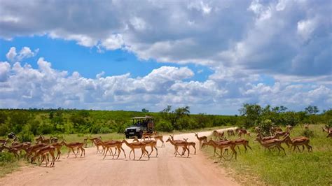 Top 5 Wildlife Sanctuaries In Goa | Herzindagi