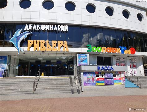 Дельфинарий Ривьера, Сочи - «Сочинский дельфинарий & Адлерский ...