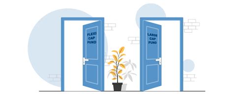 Flexi Cap vs Large Cap Funds: Key Difference, Benefits & Which is ...
