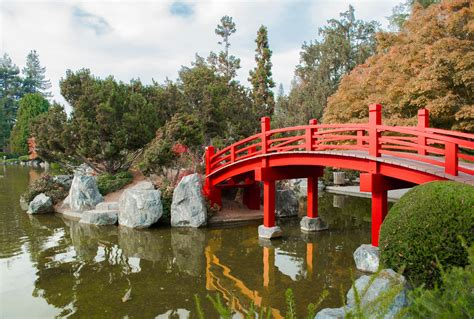 Free stock photo of bridge, japanese garden, red