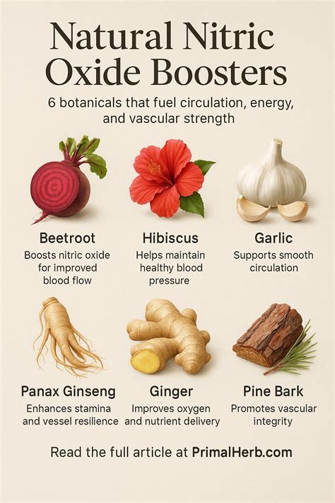 Molecule Energy Control 的图像结果