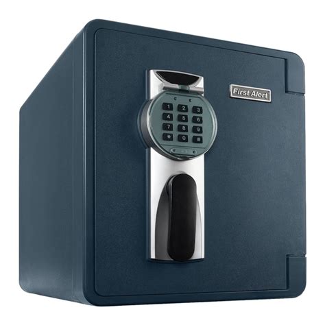 First Alert Installation 的图像结果