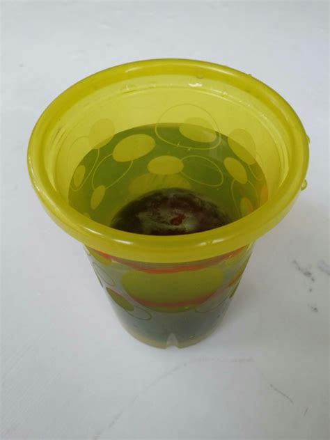 Image result for Volume Measurement Experiments