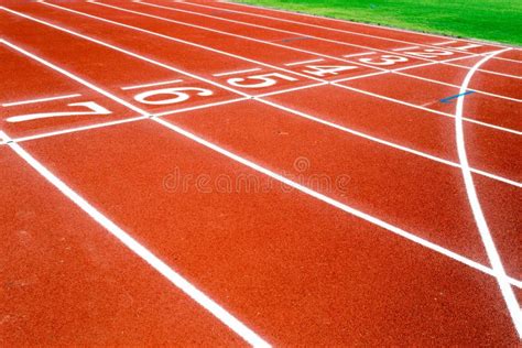 Running Field 的图像结果