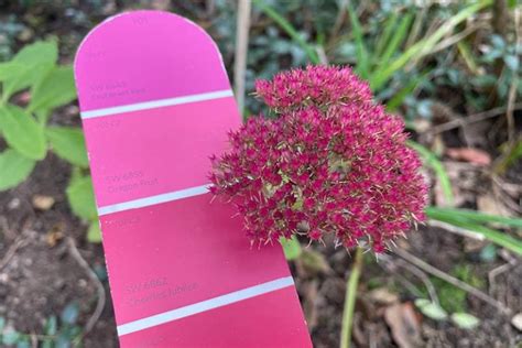 Activity in Spring 的图像结果