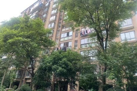 重庆渝北回兴优质住宅和车库资产推荐 - 资产处置 - 阿里拍卖