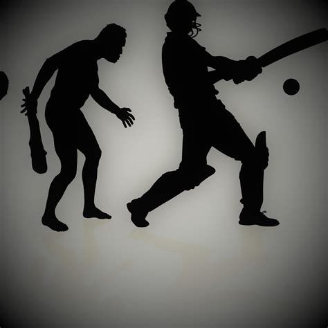 Image result for Cricet Bat Evolution