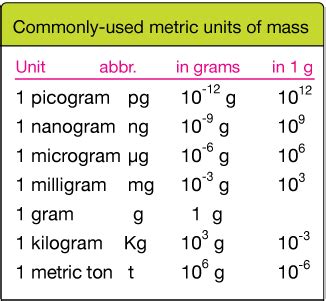 Number System Conversion 的图像结果