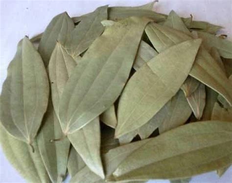 Roods Fresh Fresh tez patta Bay Leaf Whole Organic (Tez Patta) 250 gm ...