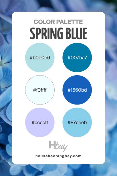 Image result for Blue Color Spring Balance