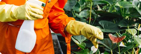 Sulphur Monochloride & Granulated Sulphur Manufacturer in Gujarat ...