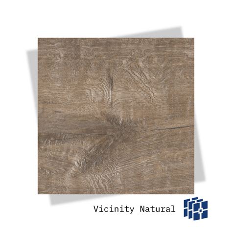 Daltile – Porcelain Tile Flooring – Vicinity