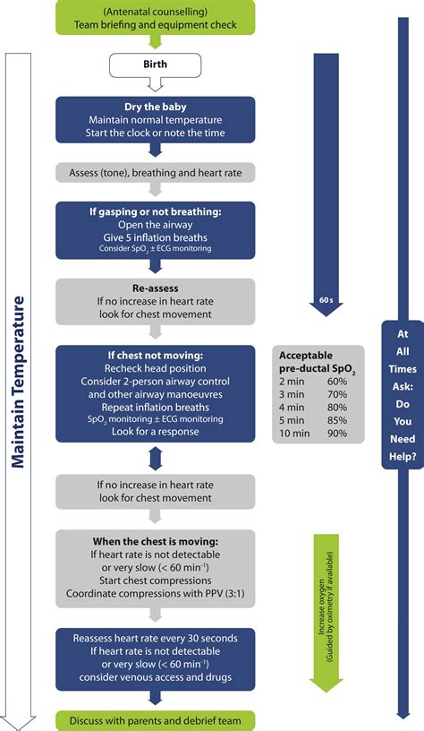 Image result for NRP Resuscitation Algorithm