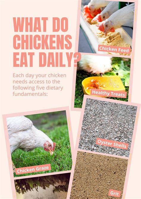 What Do Chickens Eat? Experts Spill The Grain. You'll Be Shocked ...
