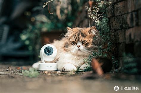 智能猫眼，为你实时观察门外的一举一动（内附安装视频）_智能家居-智能站