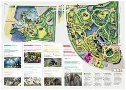 ZooLex Exhibit - Congo Forest - Birds and Okapis