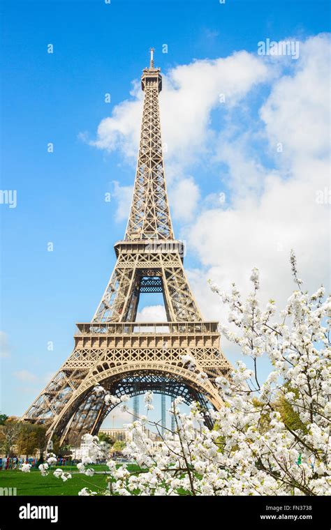 Paris 的图像结果