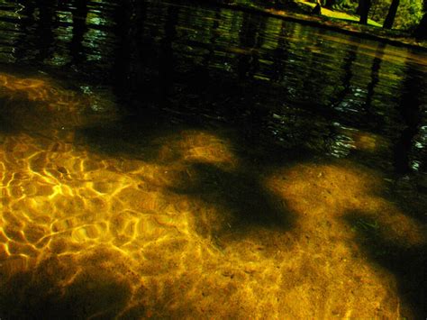 Image result for Tim Root Refraction