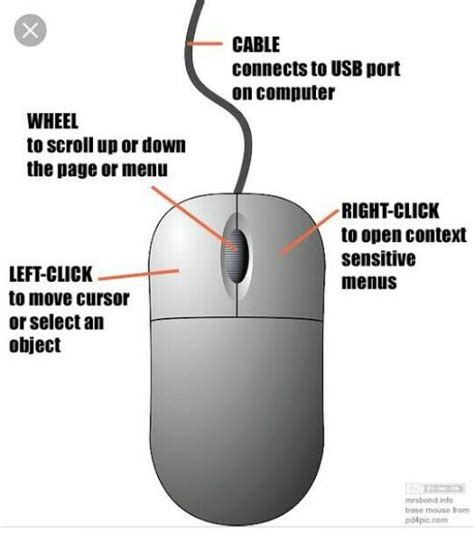 Computer Mouse Diagram 的图像结果