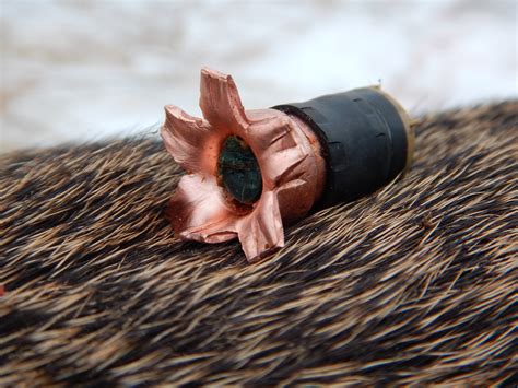 Muzzleloading Types 的图像结果