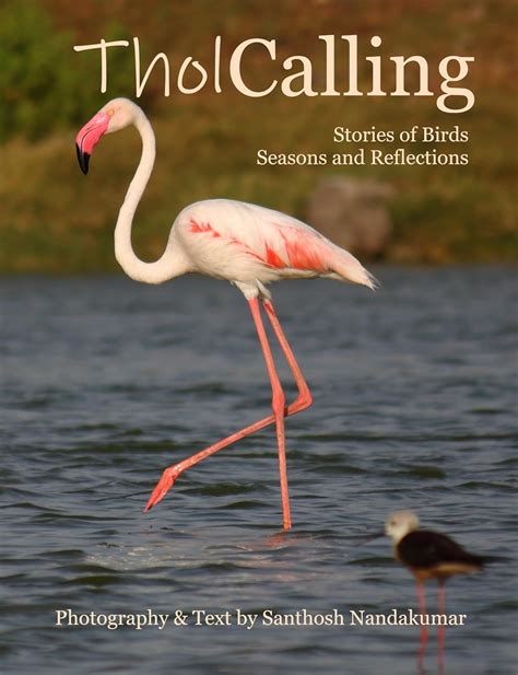 Thol Calling: Stories of Birds, Seasons, and Reflections eBook ...