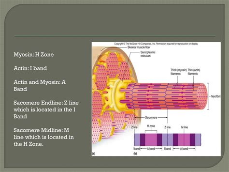 Image result for What Is a Function Structure