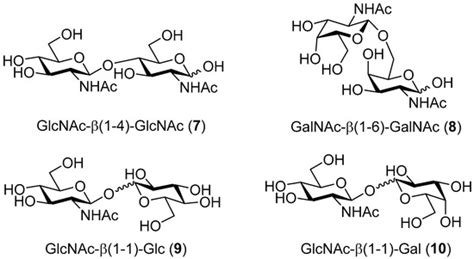 Acceptor Specificity of β-N-Acetylhexosaminidase from Talaromyces ...