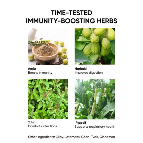 Buy IMMUNITY COMBO - 30 CHYAWAN TABLETS; 30 KADHA SIPS SACHETS; 500 ...