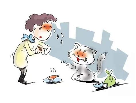 救助流浪猫志愿者图鉴｜生命守护者 - 每日推荐 - iLOHAS乐活社区
