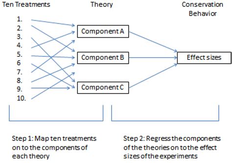 Synthesizing the Experiments and Theories of Conservation Psychology