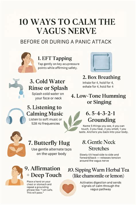Best 13 Vagus Nerve Stimulation Menu: Polyvagal Theory Worksheets (digital Download) – Etsy ...