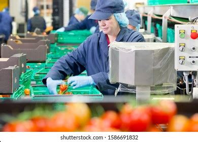 Assembly Line Food Production 的图像结果