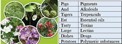 Mnemonics: Biomolecules - Biology Class 11 - NEET PDF Download