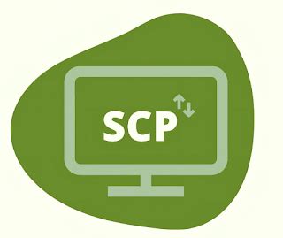 SCP Tutorial 的图像结果