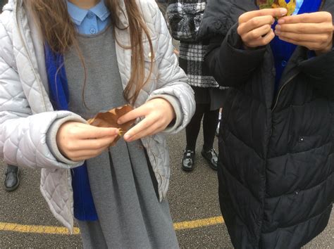 Classification Science P6 的图像结果