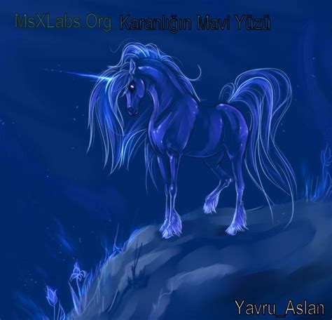 MsXLabs.Org - Specials WallPapers (MsX Özel Resimler)