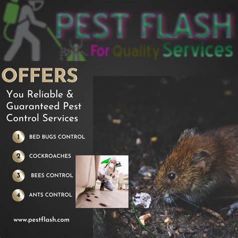 Find the best pest control prices in Kenya | 2024