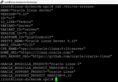 Image result for Install Docker On Oracle Virtual Machine