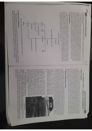 Photorespiration - Photorespiration Photorespiration is initiated by ...