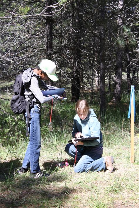 Director's Update for IDL Staff - 5/24/24 Edition