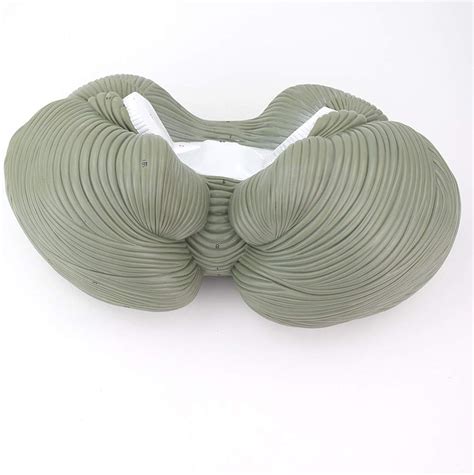 Educational Model Human Cerebellum Morphological Structure Anatomical ...
