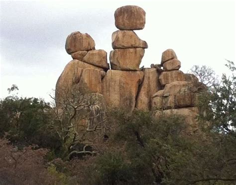 MATEBELE ROYAL SAFARIS (2026) All You Need to Know BEFORE You Go (with ...