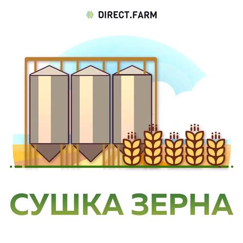 Сушка зерна