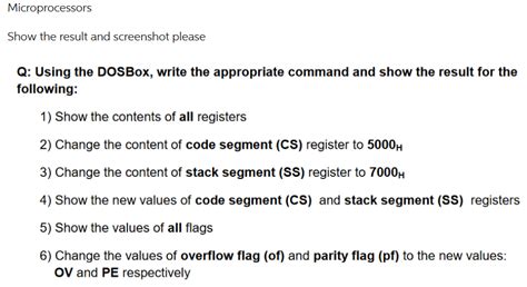 DOSBox Command 的图像结果