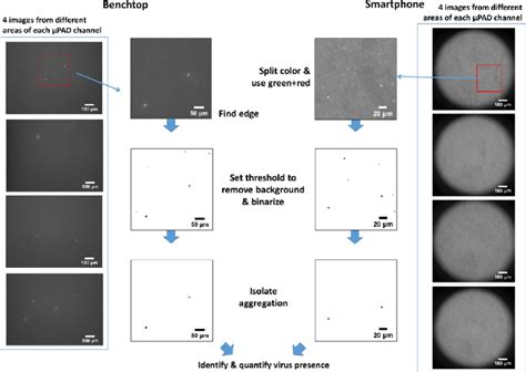 Image result for Image Processing Using ImageJ