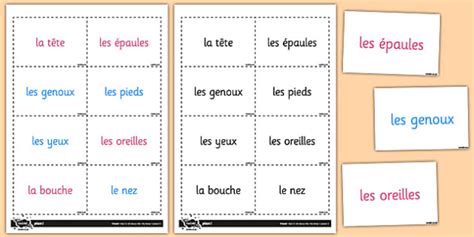 Head shoulders knees and toes in French - Flashcards