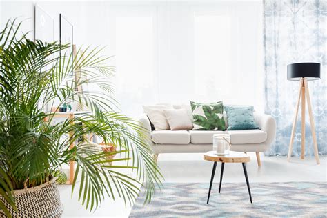 Do Plants Improve Indoor Air Quality? - The Coolest LLC