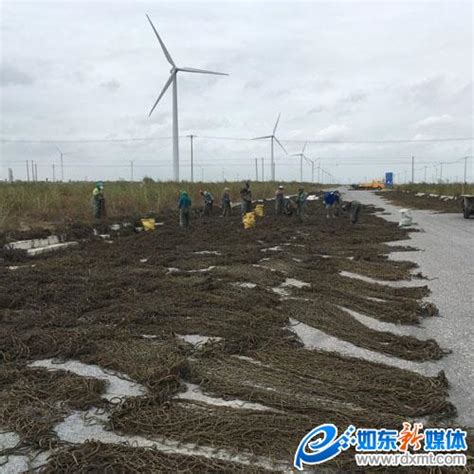 正大水产（南通）有限公司预计今年产量超4万吨-如东县人民政府