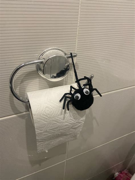 Large black spider Austin Texas, anyone know what spider this is? Can’t seem to find it on the ...